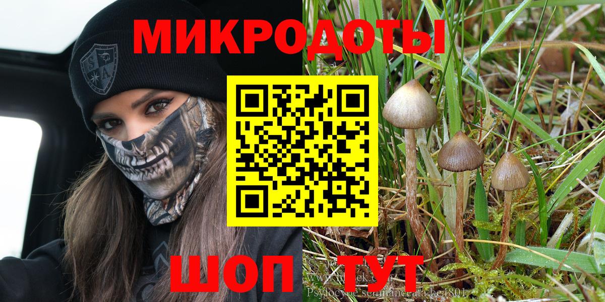 Псилоцибиновые грибы ЛСД Кушва